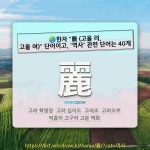 국어사전에서 🌏한자 "麗 (고울 려, 고울 여)" 단어이고, '역사' 관련 단어는 40개