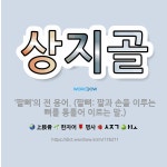 상지골건강원 | 🌟상지골: ‘팔뼈’의 전 용어. (팔뼈: 팔과 손을 이루는 뼈를 통틀어 이르는 말.) - 표준국어대사전