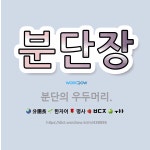 🌟분단장: 분단의 우두머리. - 표준국어대사전