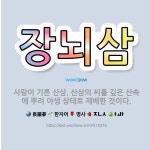 깊은산 속 산애산삼 | 🌟장뇌삼: 사람이 기른 산삼. 산삼의 씨를 깊은 산속에 뿌려 야생 상태로 재배한 것이다. - 표준국어대사전