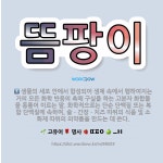 🌟뜸팡이: 자낭균류에 속하는 균류. 엽록소가 없는 단세포로 이루어진 원형 또는 타원형의 균류로, 경제적으로... - 표준국어대사전