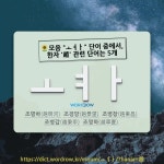 趙(조)선술집 | 국어사전에서 🌻모음 "ㅗㅕㅏ" 단어 중에서, 한자 '趙 (나라 조)' 관련 단어는 5개