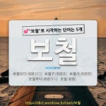 보철이네유부댕댕 | 국어사전에서 💕"보철"로 시작하는 단어는 5개