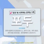 포두해밀솔라 | 국어사전에서 💕"포두"로 시작하는 단어는 5개