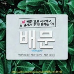 국어사전에서 💕"배문"으로 시작하고, 끝 글자가 '문'인 단어는 3개
