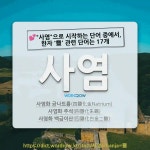 국어사전에서 💕"사염"으로 시작하는 단어 중에서, 한자 '鹽 (소금 염)' 관련 단어는 17개