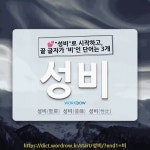 국어사전에서 💕"성비"로 시작하고, 끝 글자가 '비'인 단어는 3개