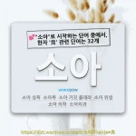 국어사전에서 💕"소아"로 시작하는 단어 중에서, 한자 '兒 (아이 아, 성 예)' 관련 단어는 32개