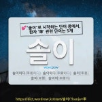 국어사전에서 💕"솔이"로 시작하는 단어 중에서, 한자 '率 (율 률, 율 율)' 관련 단어는 5개