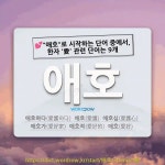 국어사전에서 💕"애호"로 시작하는 단어 중에서, 한자 '愛 (사랑 애)' 관련 단어는 9개