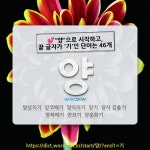 국어사전에서 💕"양"으로 시작하고, 끝 글자가 '기'인 단어는 46개