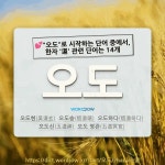 국어사전에서 💕"오도"로 시작하는 단어 중에서, 한자 '道 (길 도)' 관련 단어는 14개