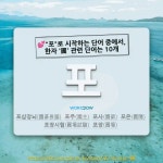 채전밭과수원길 | 국어사전에서 💕"포"로 시작하는 단어 중에서, 한자 '圃 (채마밭 포)' 관련 단어는 10개