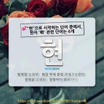 국어사전에서 💕"현"으로 시작하는 단어 중에서, 한자 '明 (밝을 명)' 관련 단어는 6개