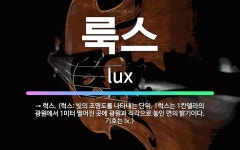 🌟룩스: → 럭스. (럭스: 빛의 조명도를 나타내는 단위. 1럭스는 1칸델라의 광원에서 1미터 떨어진 곳에... - 표준국어대사전