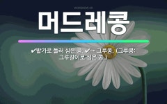 🌟머드레콩: → 그루콩. (그루콩: 그루갈이로 심은 콩.), 밭가로 둘러 심은 콩. - 표준국어대사전