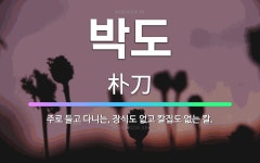 🌟박도: 주로 들고 다니는, 장식도 없고 칼집도 없는 칼. - 표준국어대사전