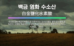 🌟백금 염화 수소산: 수소와 염화 백금의 화합으로 이루어지는 강산성 물질. 물과 알코올에 잘 녹는다. 사염... - 표준국어대사전