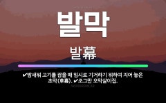 발막집아마도 | 🌟발막: 밤새워 고기를 잡을 때 임시로 기거하기 위하여 지어 놓은 초막(草幕)., 조그만 오막살이집. - 표준국어대사전