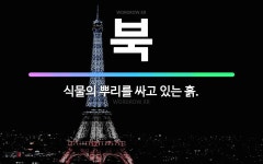 🌟북: 식물의 뿌리를 싸고 있는 흙. - 표준국어대사전