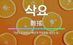 🌟삭요: 거문고 악보에서, 빠르게 꾸밈음을 내라는 말. - 표준국어대사전