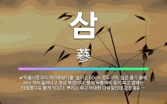 깊은산 속 산애산삼 | 🌟삼: 인삼과 산삼을 통틀어 이르는 말., 두릅나뭇과의 여러해살이풀. 높이는 60cm 정도이며, 잎은 줄기... - 표준국어대사전