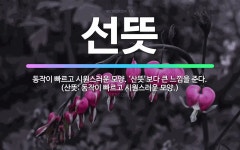 🌟선뜻: 동작이 빠르고 시원스러운 모양. ‘산뜻’보다 큰 느낌을 준다. (산뜻: 동작이 빠르고 시원스러운 ... - 표준국어대사전