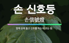 🌟손 신호등: 밤에 손에 들고 신호를 하는 데 쓰는 등. - 표준국어대사전