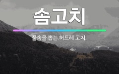 풀솜센터재사용 | 🌟솜고치: 풀솜을 뽑는 허드레 고치. - 표준국어대사전