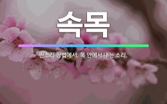🌟속목: 판소리 창법에서, 목 안에서 내는 소리. - 표준국어대사전