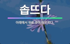 🌟솝뜨다: 아래에서 위로 솟아 떠오르다. - 표준국어대사전