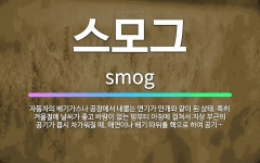 🌟스모그: 자동차의 배기가스나 공장에서 내뿜는 연기가 안개와 같이 된 상태. 특히 겨울철에 날씨가 좋고 바... - 표준국어대사전