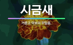 🌟시금새: 거문고 악보의 꾸밈음. - 표준국어대사전