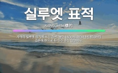 🌟실루엣 표적: 사격의 실루엣 경기에 쓰는 과녁. 높이 160cm, 최대 너비 45cm의 검은색 판으로 된... - 표준국어대사전
