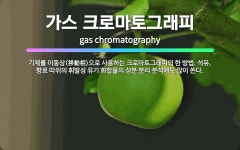 진마토그래피 | 🌟가스 크로마토그래피: 기체를 이동상(移動相)으로 사용하는 크로마토그래피의 한 방법. 석유, 향료 따위의 ... - 표준국어대사전
