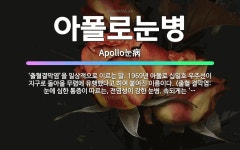 🌟아폴로눈병: ‘출혈결막염’을 일상적으로 이르는 말. 1969년 아폴로 십일호 우주선이 지구로 돌아올 무렵... - 표준국어대사전