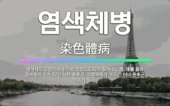 🌟염색체병: 염색체의 구성이나 수가 비정상으로 되어 일어나는 병. 예를 들어 염색체의 수가 47인 다운 증... - 표준국어대사전