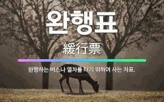 🌟완행표: 완행하는 버스나 열차를 타기 위하여 사는 차표. - 표준국어대사전