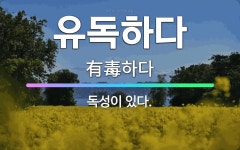 🌟유독하다: 독성이 있다. - 표준국어대사전