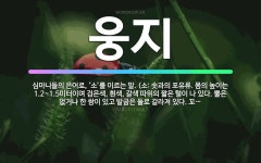 심가솟대촌 늘봄농원점 | 🌟웅지: 심마니들의 은어로, ‘소’를 이르는 말. (소: 솟과의 포유류. 몸의 높이는 1.2~1.5미터이며... - 표준국어대사전