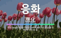 🌟응화: 부처나 보살이 중생을 구제하기 위하여 여러 가지 모습으로 이 세상에 나타나는 일. - 표준국어대사전