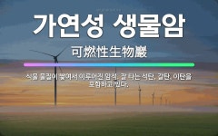 갈전피암터널동측(상) | 🌟가연성 생물암: 식물 물질이 쌓여서 이루어진 암석. 잘 타는 석탄, 갈탄, 이탄을 포함하고 있다. - 표준국어대사전