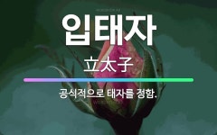 태자인력태평양희생자 | 🌟입태자: 공식적으로 태자를 정함. - 표준국어대사전