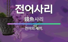 주식회사 진어전어전가 | 🌟전어사리: 전어의 새끼. - 표준국어대사전