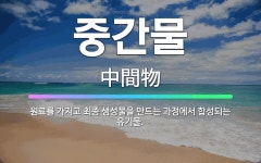 🌟중간물: 원료를 가지고 최종 생성물을 만드는 과정에서 합성되는 유기물. - 표준국어대사전