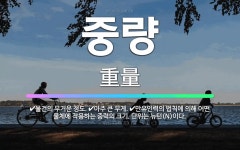 🌟중량: 물건의 무거운 정도., 아주 큰 무게., 만유인력의 법칙에 의해 어떤 물체에 작용하는 중력의 크기... - 표준국어대사전