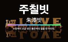 머리하는가게참빗 | 🌟주칠빗: 누런색이 조금 섞인 붉은색의 칠을 한 머리빗. - 표준국어대사전