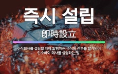 주식회사 일이삼지오 | 🌟즉시 설립: 주식회사를 설립할 때에 발행하는 주식의 전부를 발기인이 인수하여 회사를 설립하는 일. - 표준국어대사전