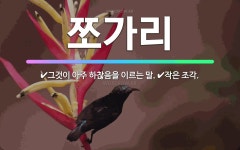 🌟쪼가리: 그것이 아주 하찮음을 이르는 말., 작은 조각. - 표준국어대사전