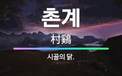 홍가네시골약닭 | 🌟촌계: 시골의 닭. - 표준국어대사전